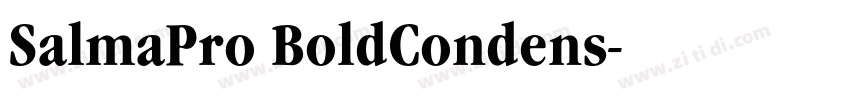 SalmaPro BoldCondens字体转换 SalmaPro BoldCondens字体转换